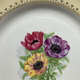 Lot de 6 assiettes plates «l'amandinoise » modèle  coopelia
