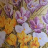 Photo under glass, welcome to spring "crocus fields".
