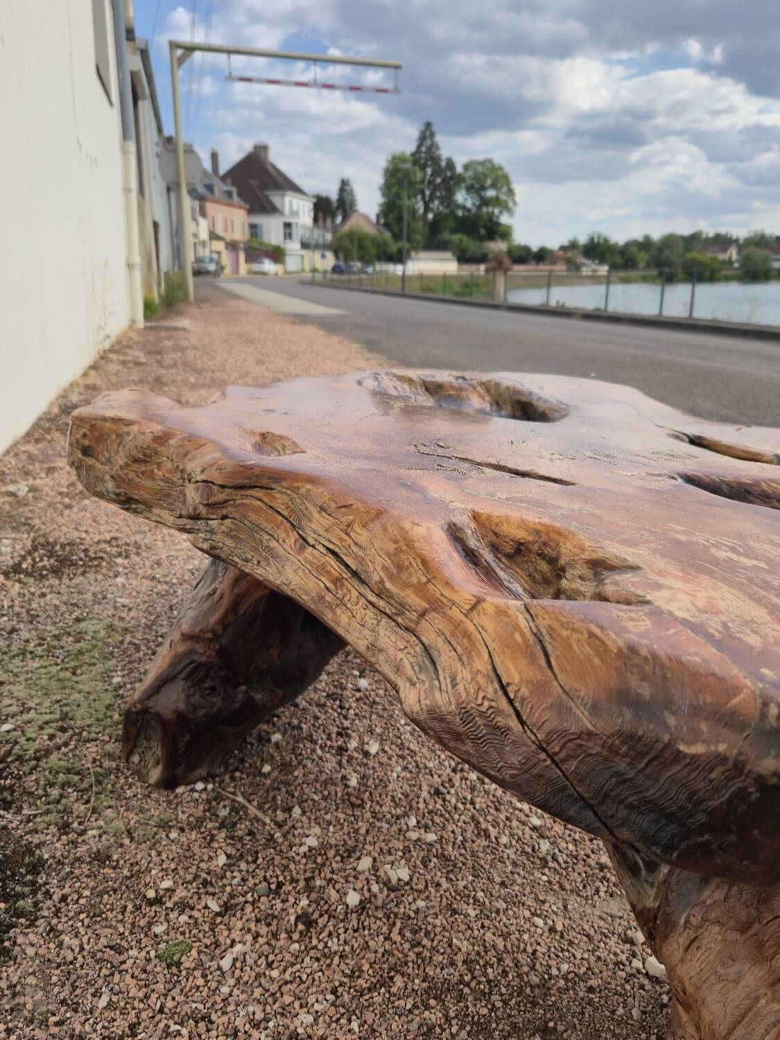 Brutalist coffee table made from solid elm tree trunk, 1950s