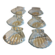 Pack of 6 scallop shells