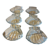 Pack of 6 scallop shells
