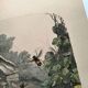 Engraving from 1886 - Insects on the farm - Vintage old lithograph