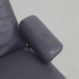 Vintage Lounge Chair in Leather DS 2030 De Sede, 1980s