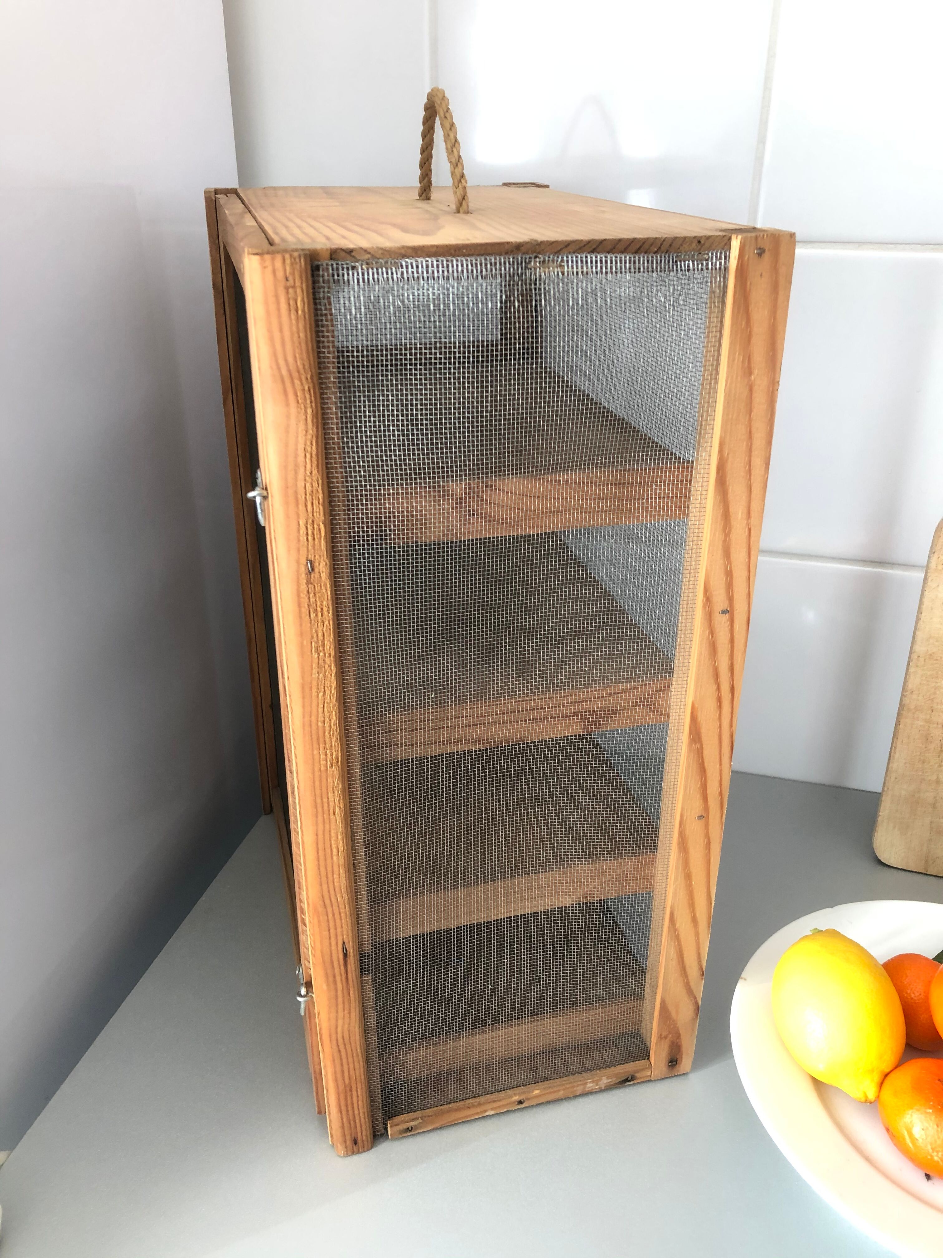 Old wood eating wareat