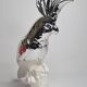 Cockatoo sculpture in biscuit porcelain, Pols Potten, 33 cm