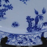 Dish