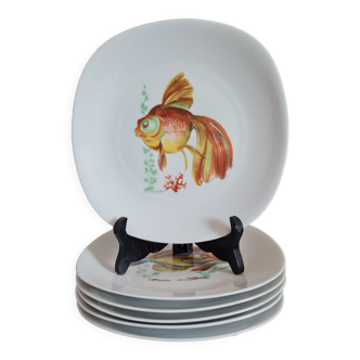 6 assiettes Poissons Porcelaine