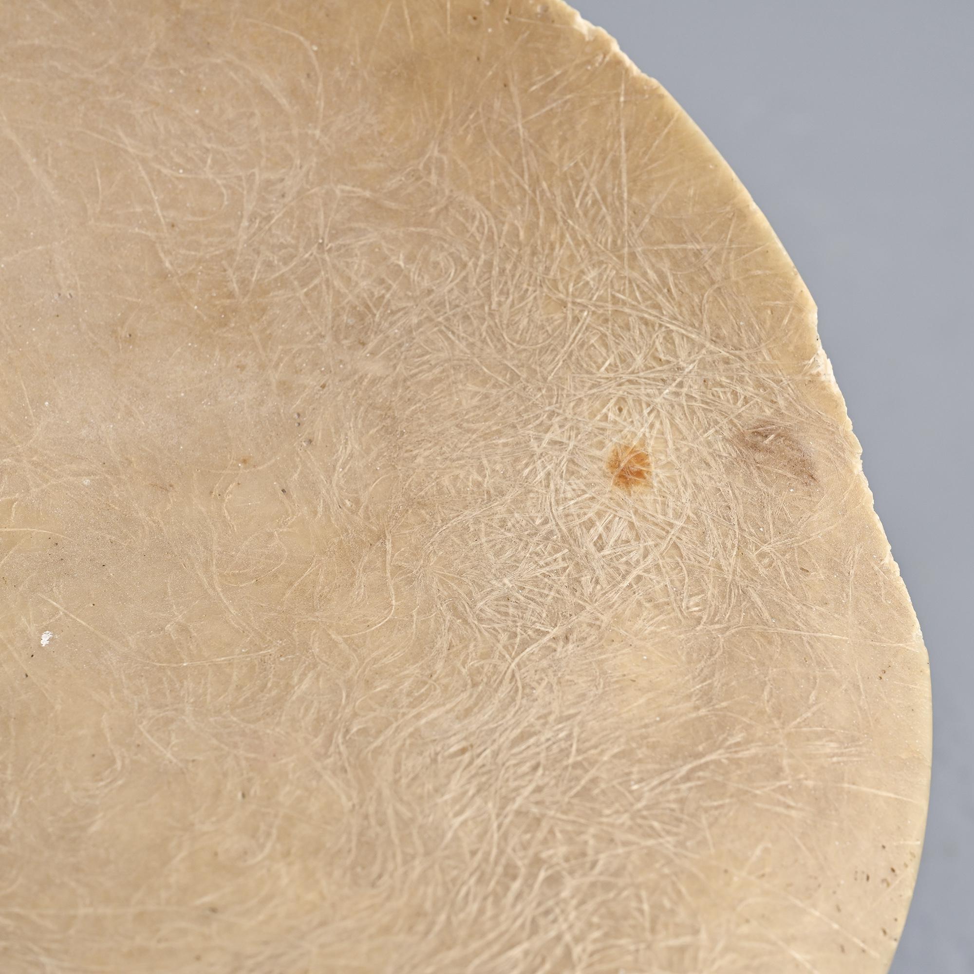 Tabouret en fibre de verre par Jean-Raymond Picard, vers 1955