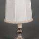 Louis XIV style 19th century silver or silver metal lamp with white lampshade