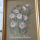 Lot 4 botanical frames 70