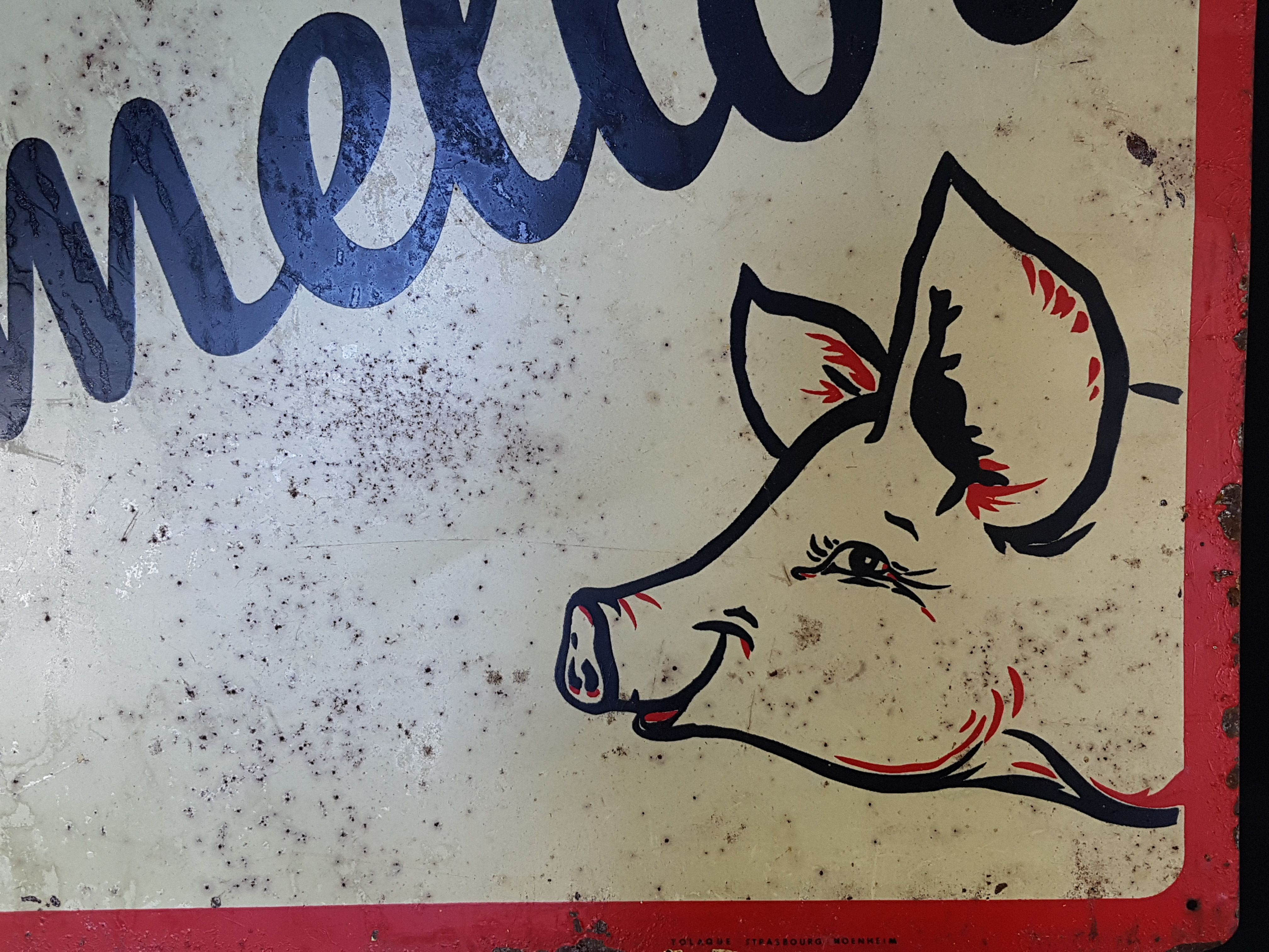 Advertising sheet cow pig mamellor 58x40 cm