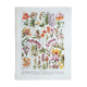 Old botanical board 20s orchids