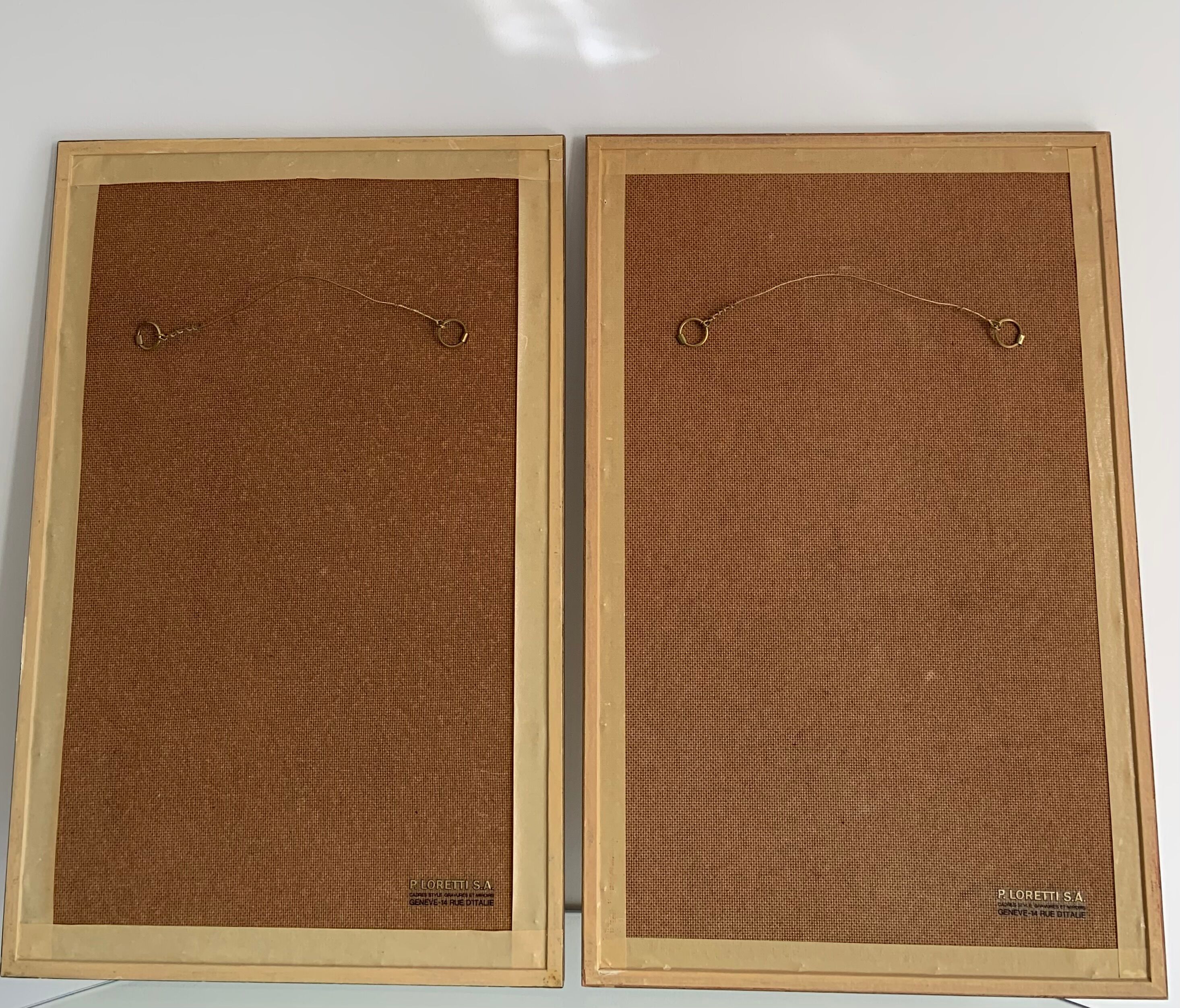 Cadres planches botanique vintage