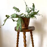 High tripod stool or plant holder