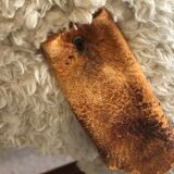 Sheep stool rests foot by Hans Peter Krafft. Edition Meier.