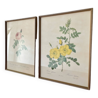 Paire de photos florales encadrées vintage