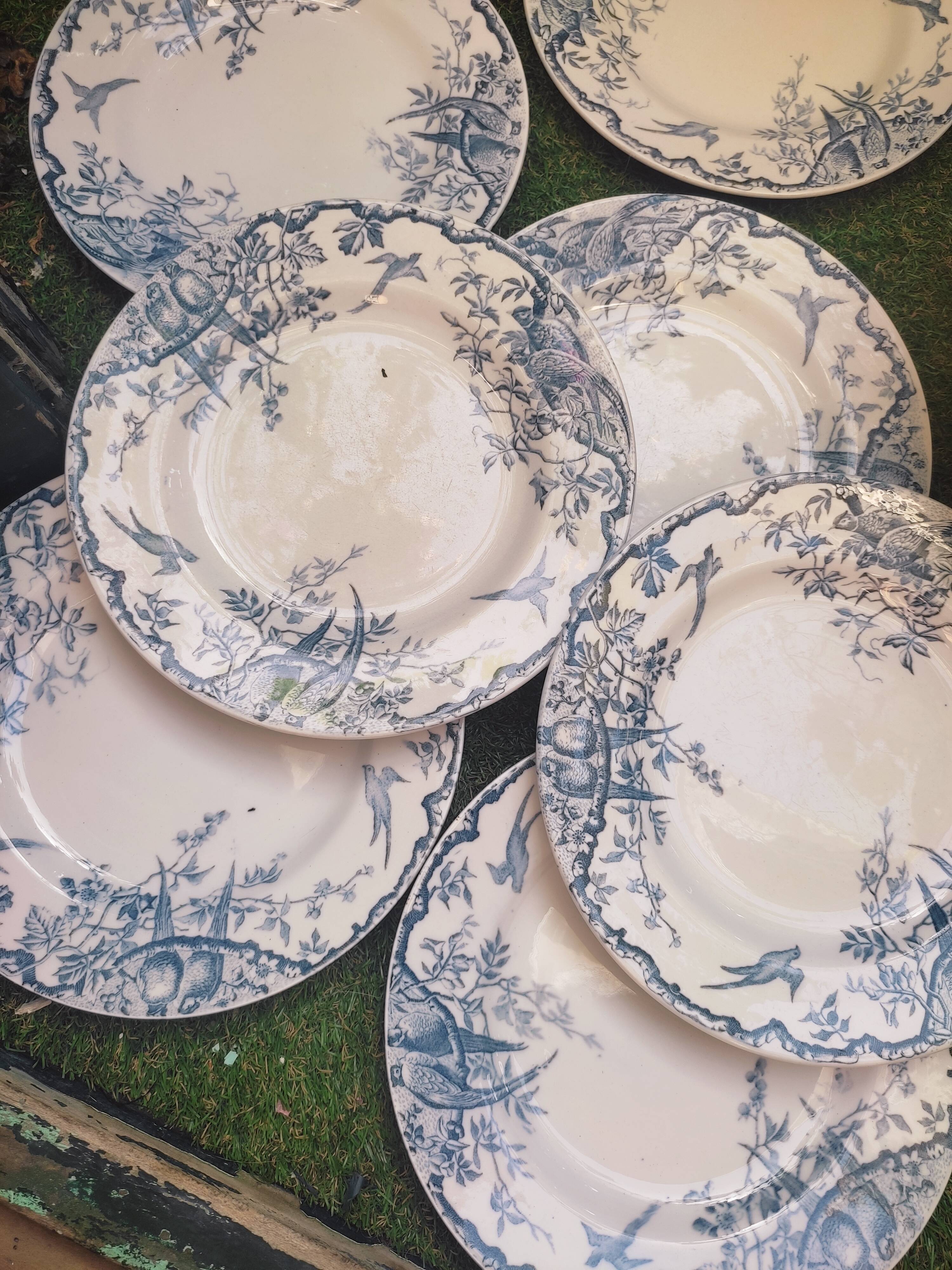 7 plates in earthenware with bird motifs by Lunéville