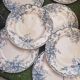 7 plates in earthenware with bird motifs by Lunéville