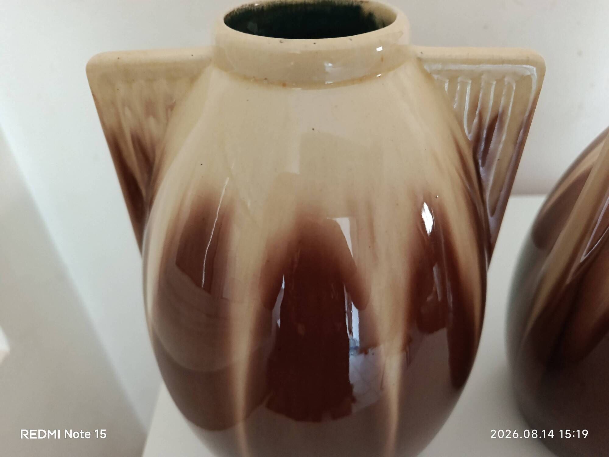 pair of vases by Gustave de Bryn