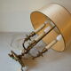 Desk lamp 3 fires style hot water bottle brass and bronze lion's paw deco office living room