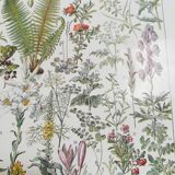 Lithograph on medicinal plants from 1928 (absinthe)