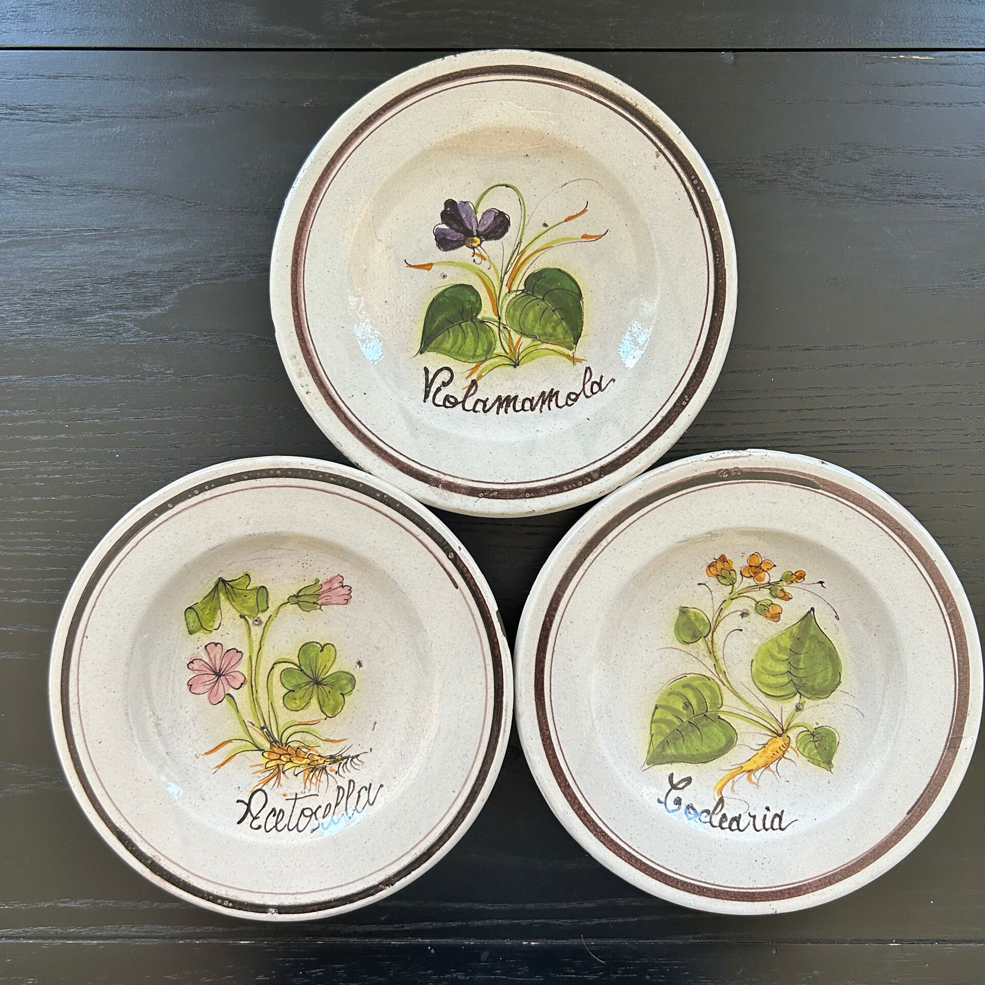 Collection of 3 botanical dishes made in Italy.