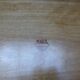 Very large vintage plate Platex