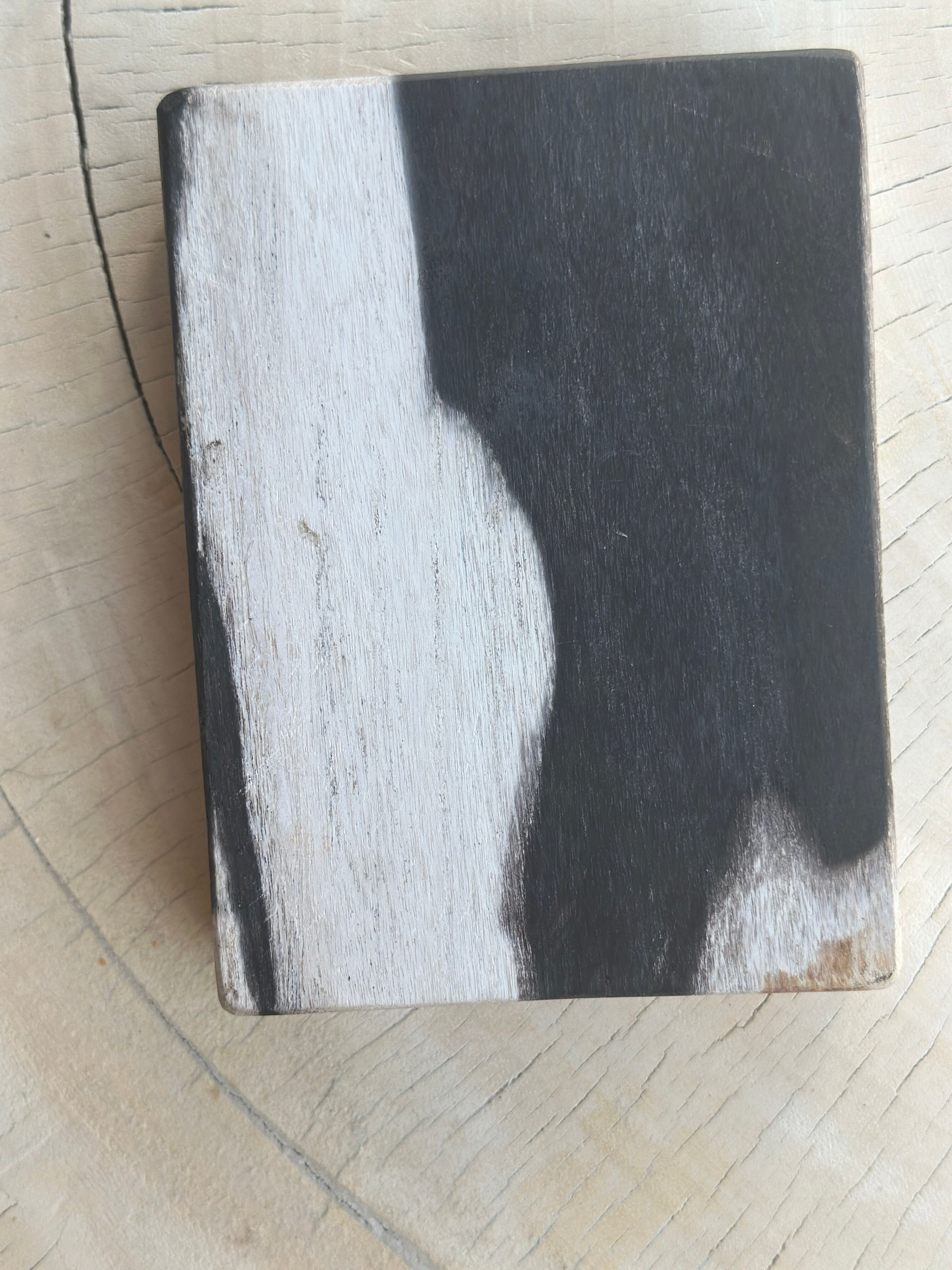 Symmetrical multicolored petrified wood soap dish