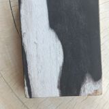 Symmetrical multicolored petrified wood soap dish
