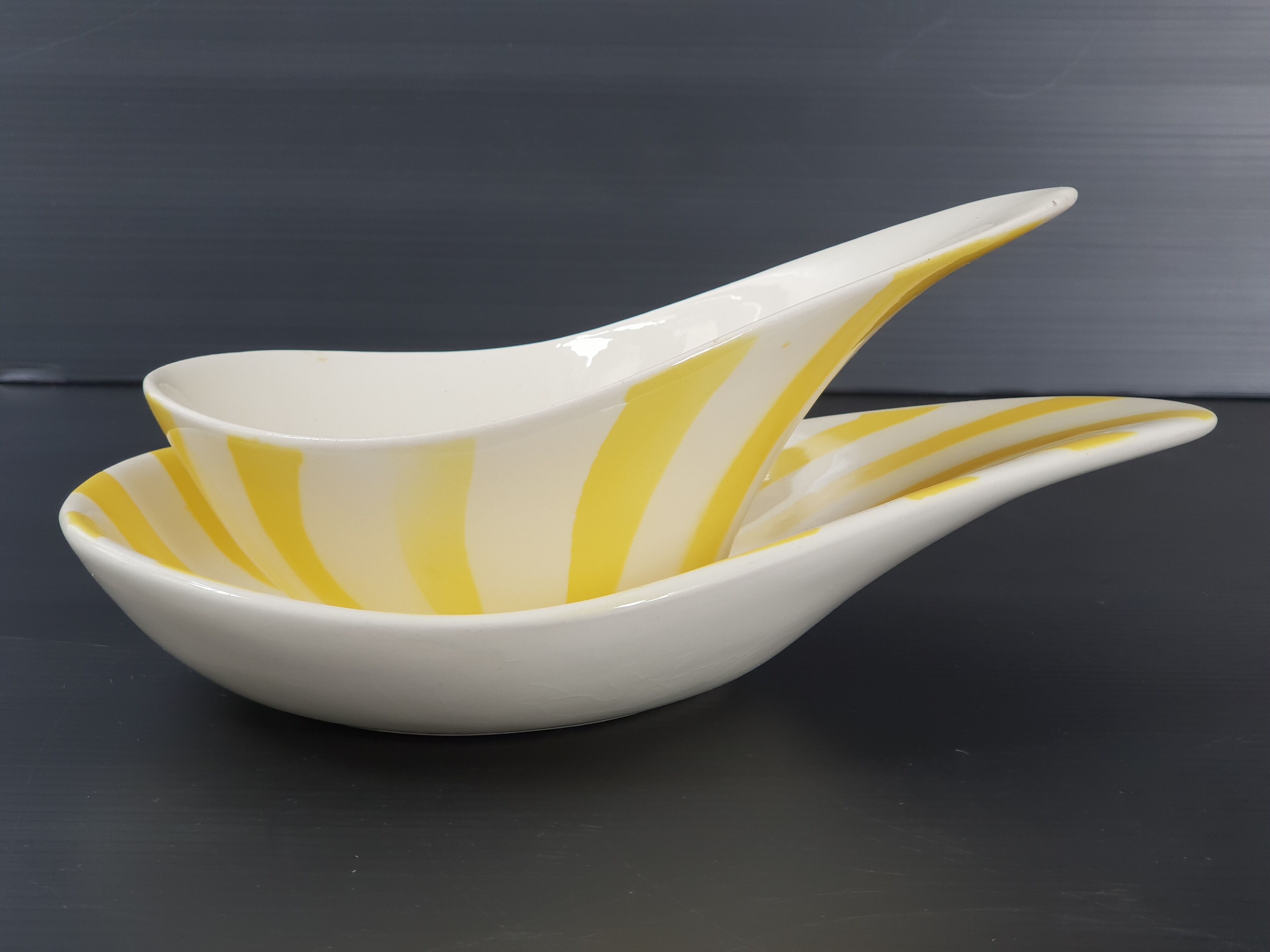 Ramequin & Sauceboat Salins 1950 vintage