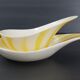 Ramequin & Sauceboat Salins 1950 vintage
