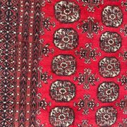 Carpet turkmen pakistan bukhara 195x216 cm