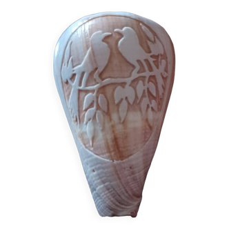 Carved shell