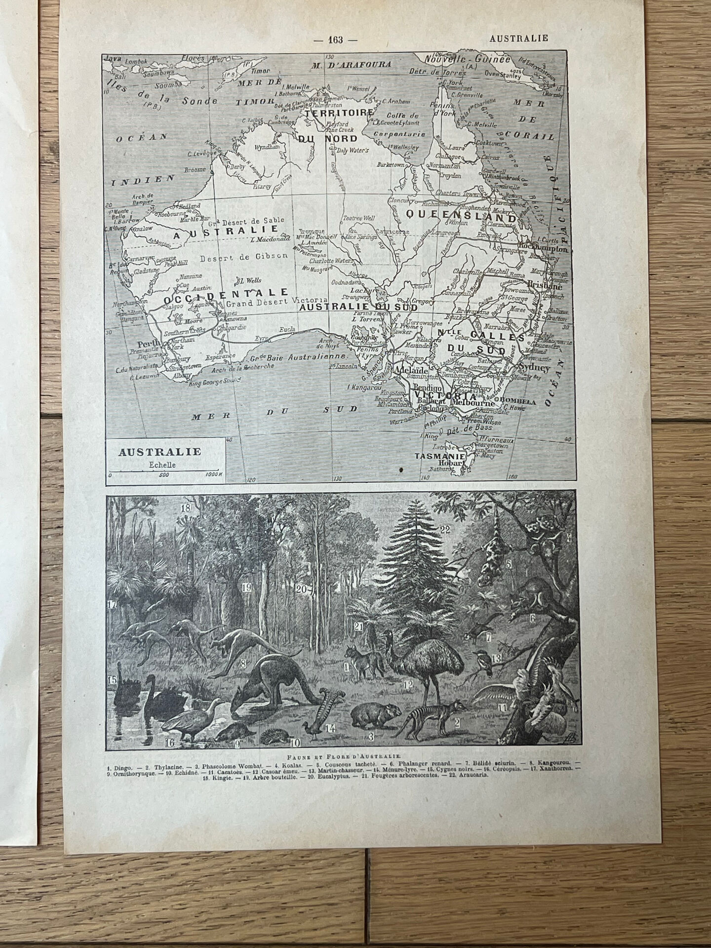 Set of 2 maps - India and Australia 20x29cm
