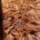 Large vintage natural cowhide carpet 195x188cm