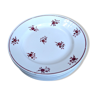 Lot de 4 assiettes plates