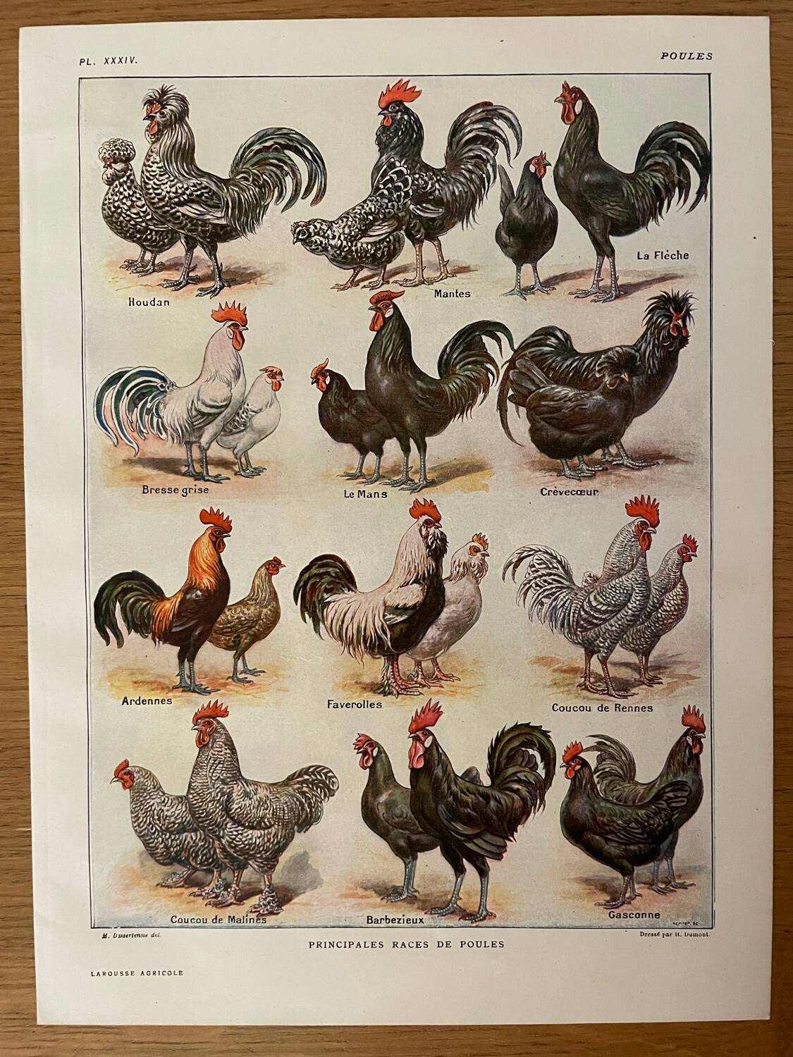 Reserved Zuzana - Set of 4 lithos on birds