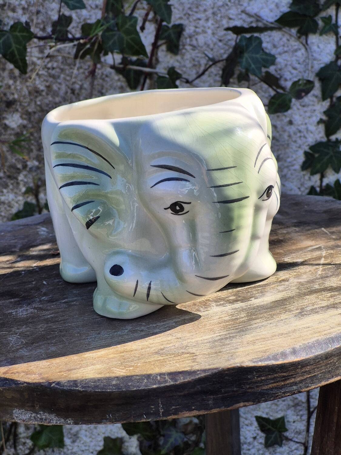 Elephant plant pot