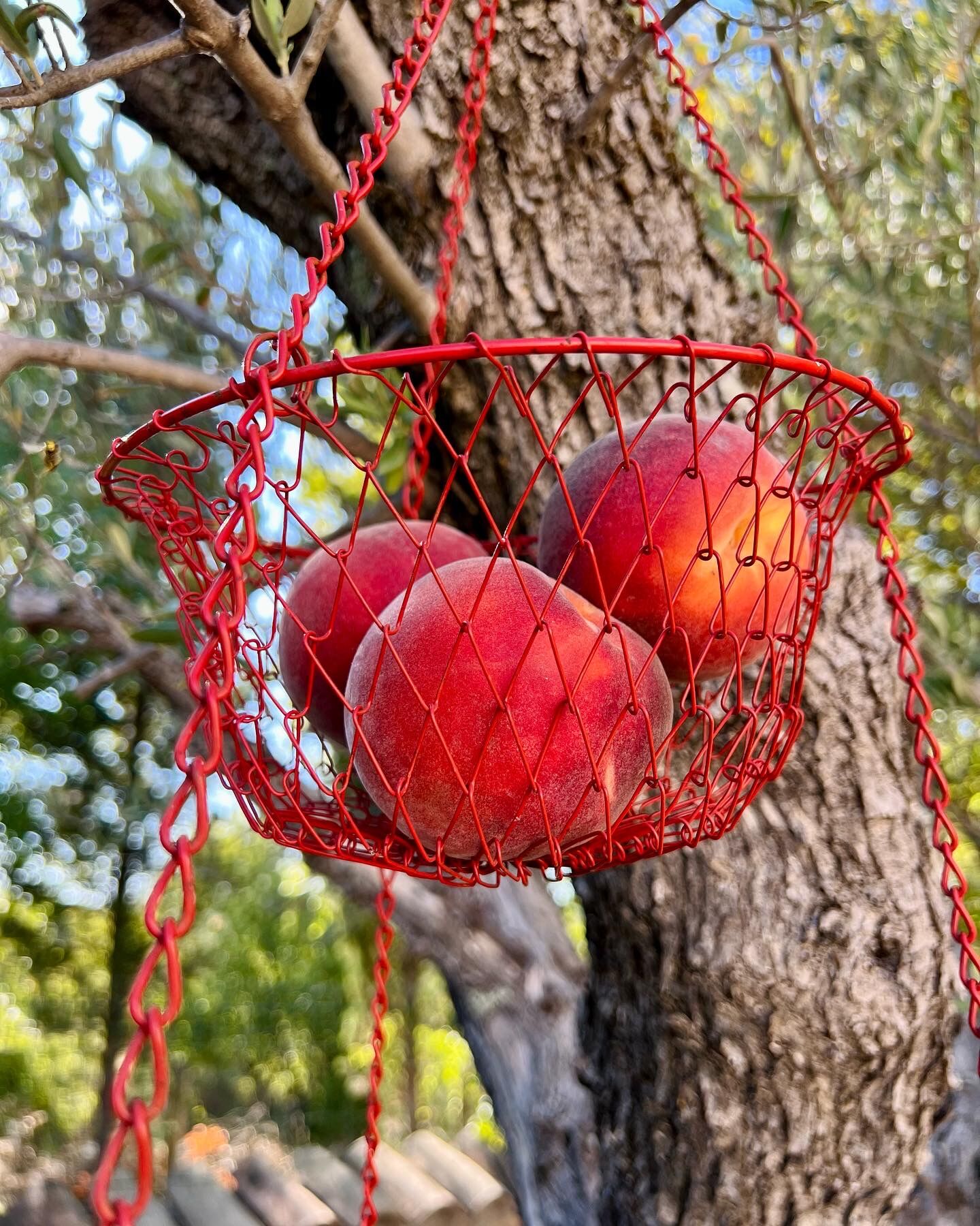 Hanging pan