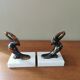 Pair of greenhouse vintage books: toucans, marble and regulates