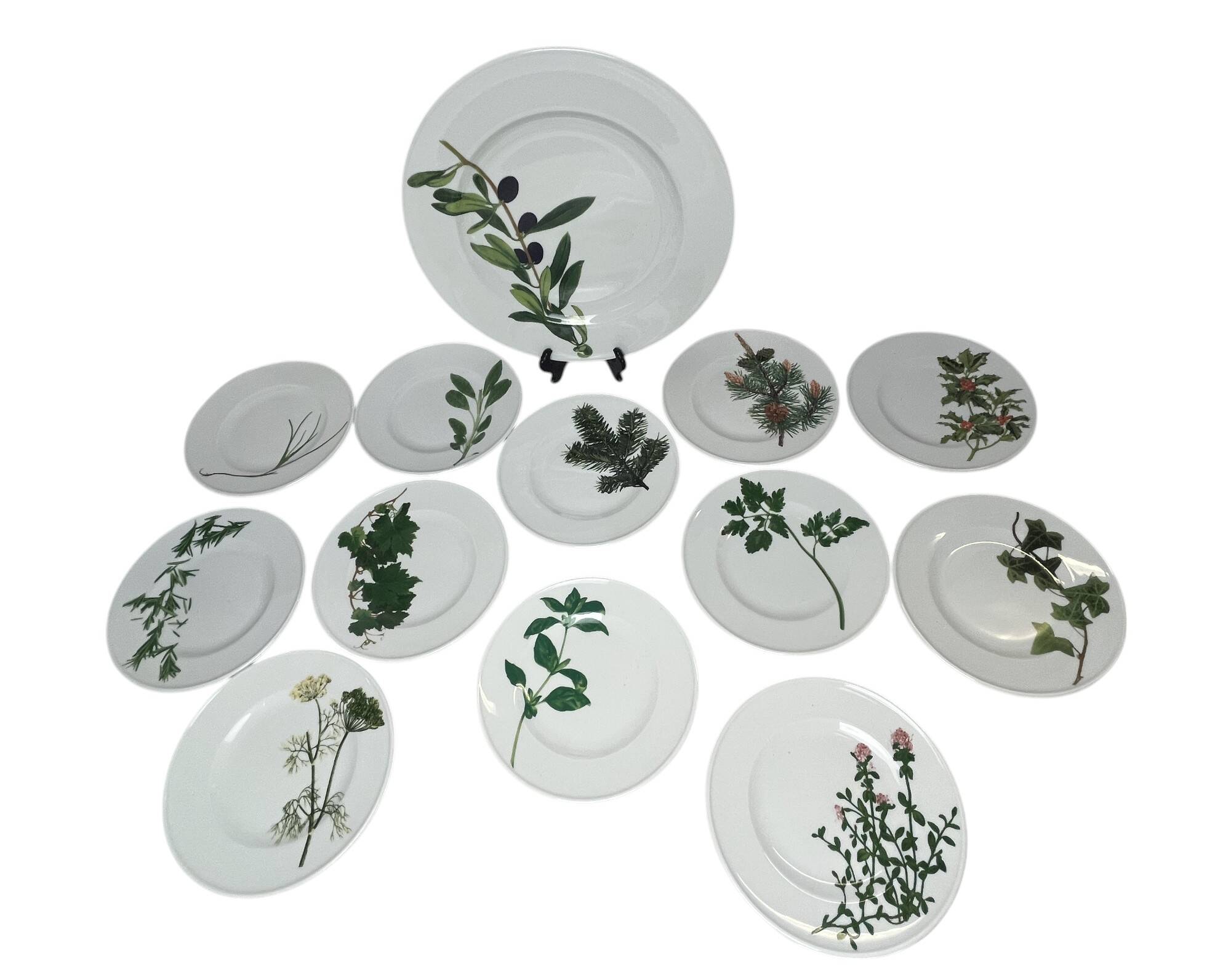 13-piece Dibbern Herbaticum porcelain dessert set circa 1980