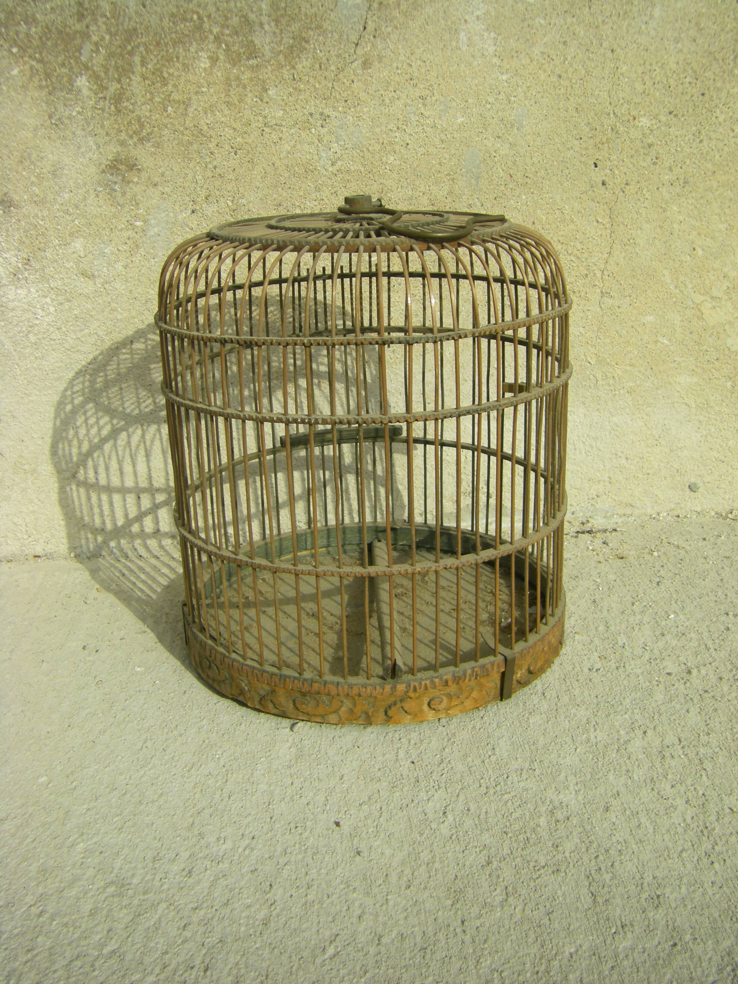 Old bird cage