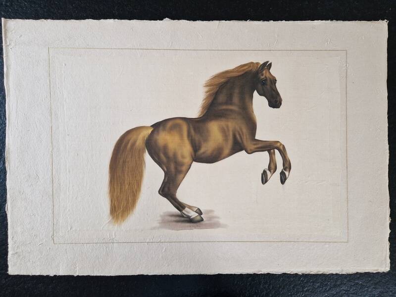 La Roche Laffitte (Born in 1943) - Watercolour drawing on fabric - Horse