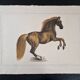 La Roche Laffitte (Born in 1943) - Watercolour drawing on fabric - Horse