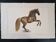 La Roche Laffitte (Born in 1943) - Watercolour drawing on fabric - Horse