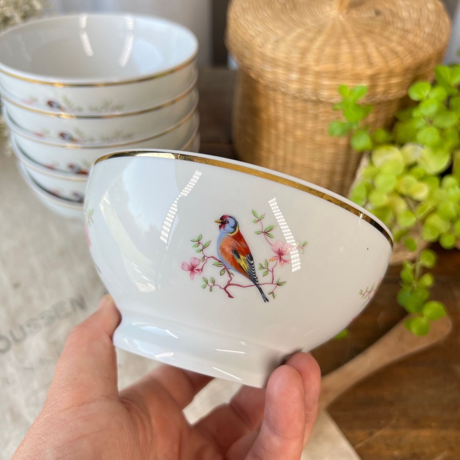 6 porcelain bowls "birds"