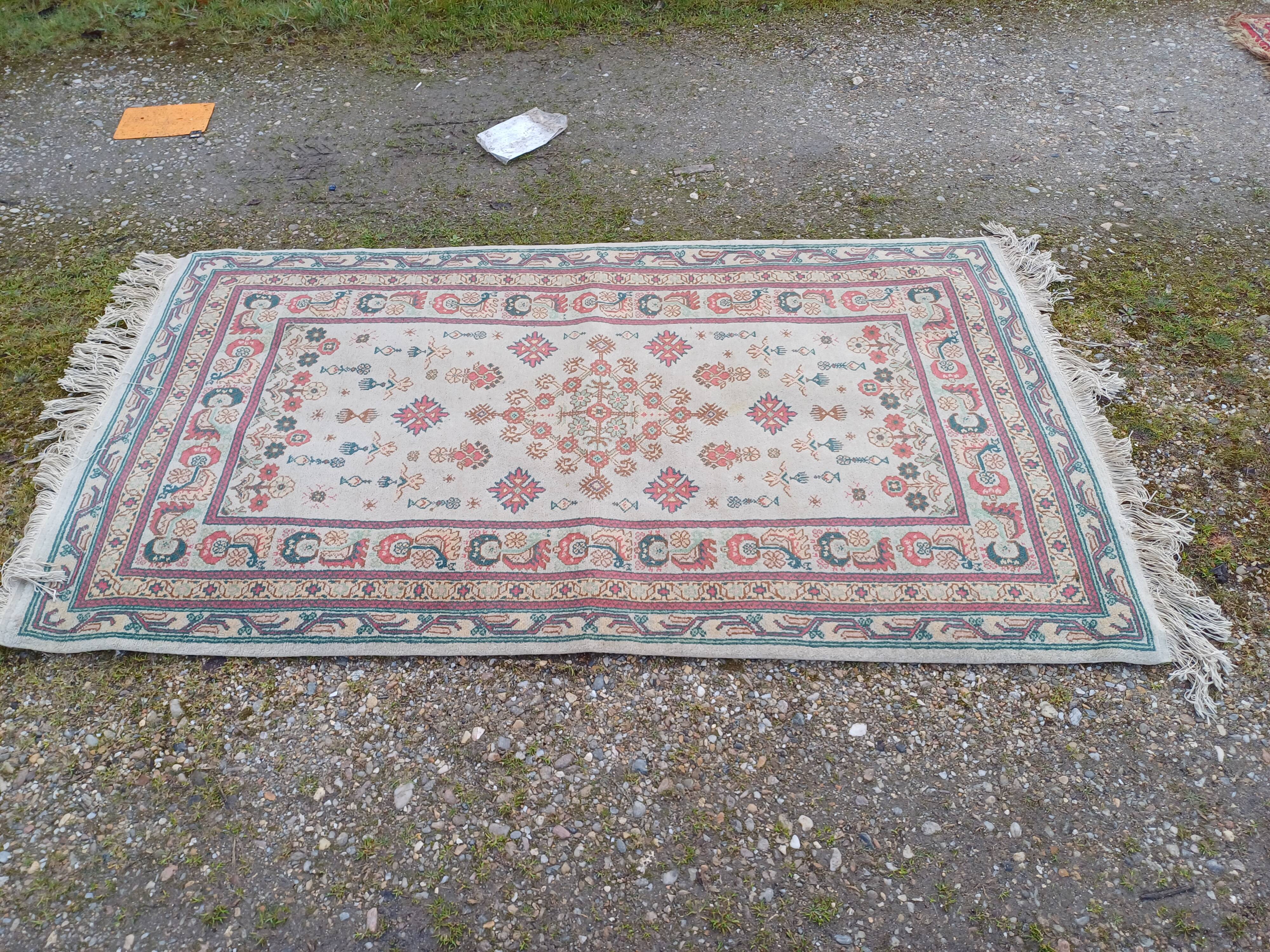 Hand-knotted wool oriental rug