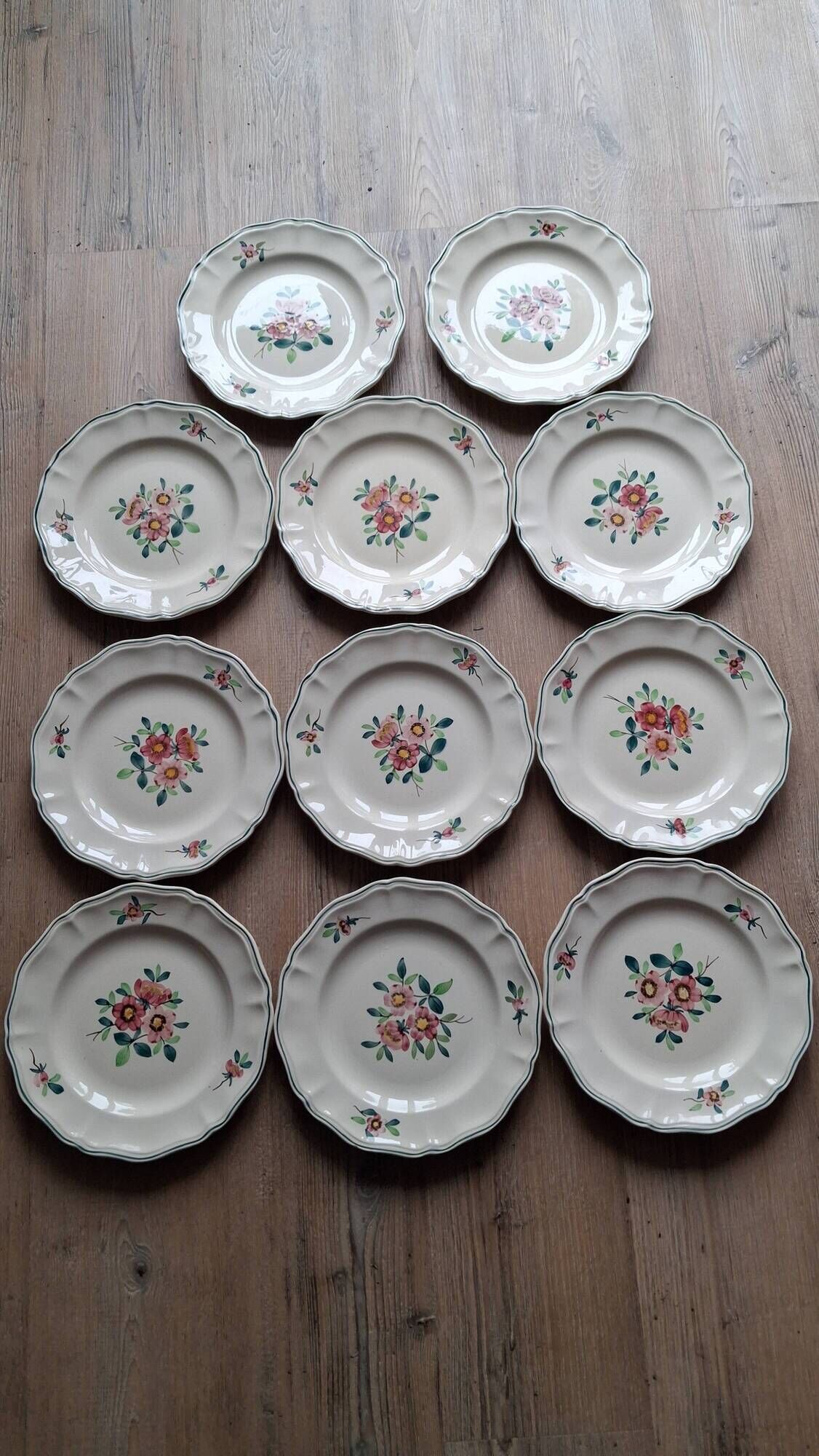 Amazonas plates Sarreguemines