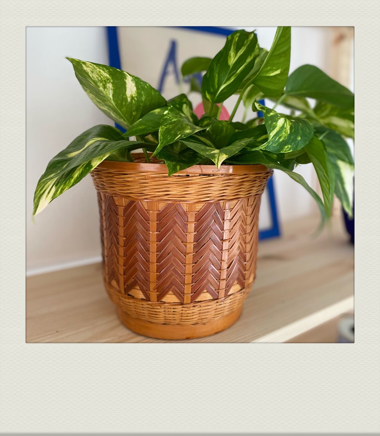 Bamboo and rattan, batch of 2 nature spirit pots