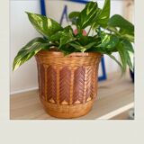 Bamboo and rattan, batch of 2 nature spirit pots